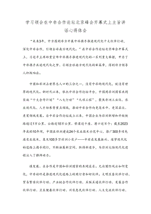 学习领会在中非合作论坛北京峰会开幕式上主旨讲话心得体会.docx