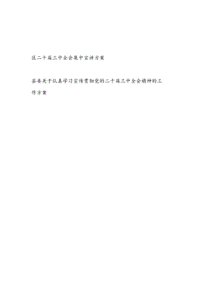 2024－2025年某区二十届三中全会集中宣讲实施工作方案.docx