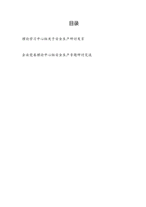 2024理论学习中心组关于安全生产专题研讨交流发言2篇（含企业党委）.docx
