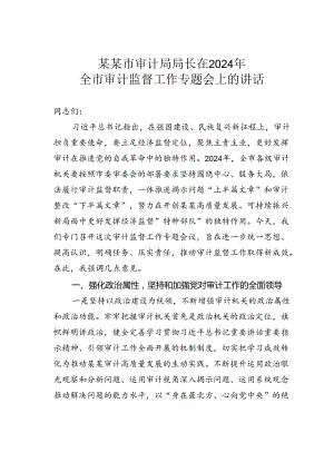 某某市审计局局长在2024年全市审计监督工作专题会上的讲话.docx