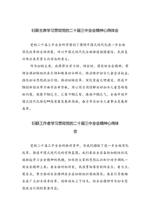 妇联主席学习贯彻党的二十届三中全会精神心得体会(精选4篇汇编).docx