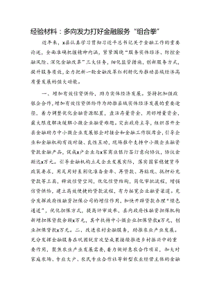 经验总结：多向发力打好金融服务“组合拳”.docx