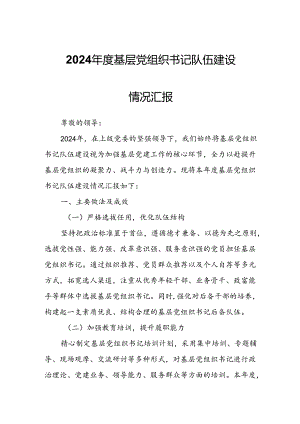2024年度基层党组织书记队伍建设情况汇报.docx