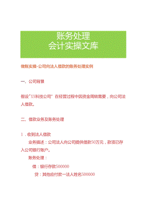做账实操-公司向法人借款的账务处理实例.docx