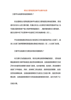 根治欠薪线索反映平台操作实务.docx