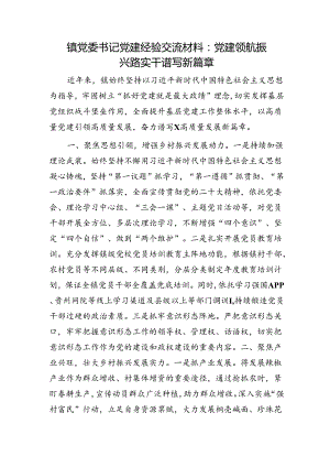 乡镇党委书记党建经验交流材料：党建领航振兴路 实干谱写新篇章.docx