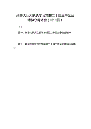 （10篇）刑警大队大队长学习党的二十届三中全会精神心得体会（详细版）.docx