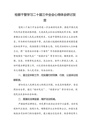 检察干警学习二十届三中全会心得体会研讨发言.docx