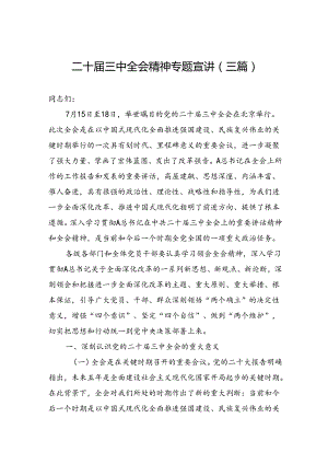 二十届三中全会精神专题宣讲（三篇）.docx
