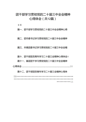团干部学习贯彻党的二十届三中全会精神心得体会(精选12篇).docx