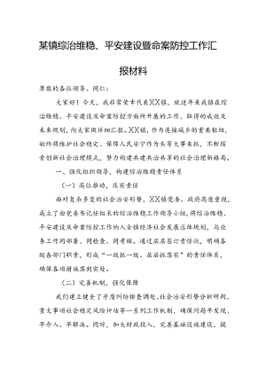 某镇综治维稳、平安建设暨命案防控工作汇报材料.docx