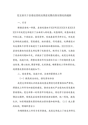 党支部关于县委巡查组反馈意见整改落实情况的通报.docx