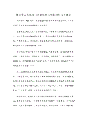 推进中国式现代化大胆探索与稳扎稳打心得体会.docx