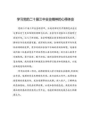 2024年党的二十届三中全会精神学习体会研讨发言材料13篇.docx