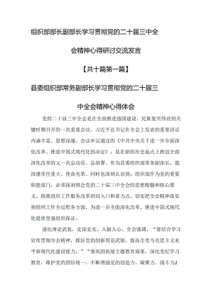 （10篇）组织部部长副部长学习贯彻党的二十届三中全会精神心得研讨交流发言.docx