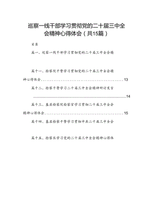 （15篇）巡察一线干部学习贯彻党的二十届三中全会精神心得体会集合.docx