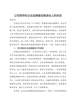 公司领导在企业品牌建设推进会上的讲话.docx