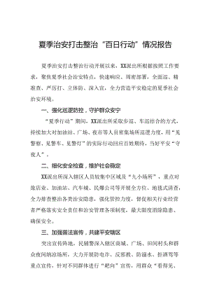 派出所推进2024年夏季治安打击整治行动工作小结十四篇.docx