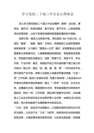 学习2024年学习党的二十届三中全会个人心得感悟 （3份）_87.docx