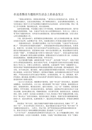 在巡查整改专题组织生活会上的表态发言.docx
