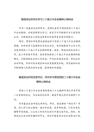 基层派出所所长学习二十届三中全会精神心得体会(8篇集合).docx