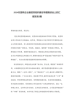 2024在国有企业基层党组织建设专题推进会上的汇报发言2篇.docx