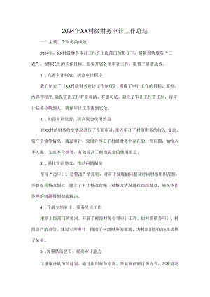 2024年XX村级财务审计工作总结.docx