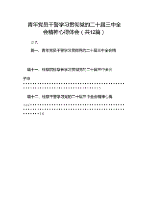 青年党员干警学习贯彻党的二十届三中全会精神心得体会12篇（详细版）.docx