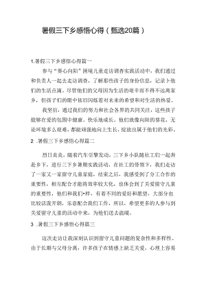 暑假三下乡感悟心得（甄选20篇）.docx