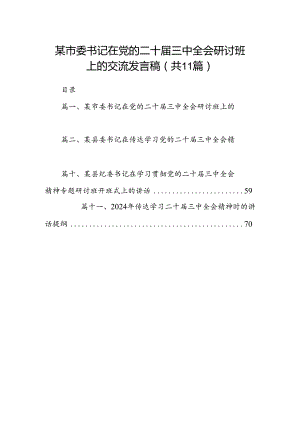 （11篇）某市委书记在党的二十届三中全会研讨班上的交流发言稿范文.docx