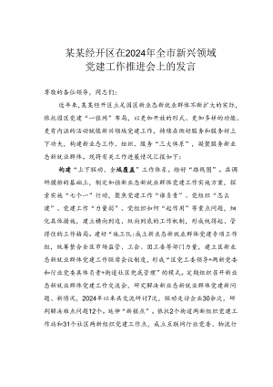 某某经开区在2024年全市新兴领域党建工作推进会上的发言.docx