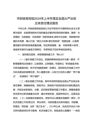 市财政局党组2024年上半年落实全面从严治党主体责任情况报告.docx