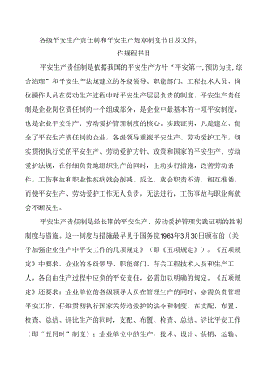 各级安全生产责任制和安全生产规章制度目录及文件-操作规程目录.docx