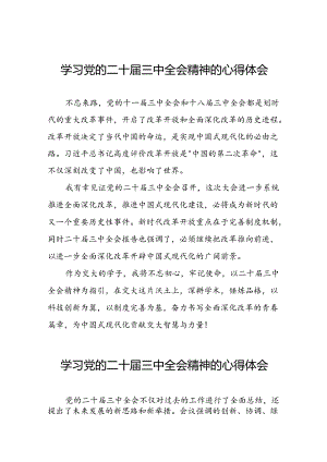 2024年学习贯彻党的二十届三中全会精神的心得体会交流发言42篇.docx
