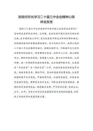 财政所所长学习二十届三中全会精神心得体会发言.docx