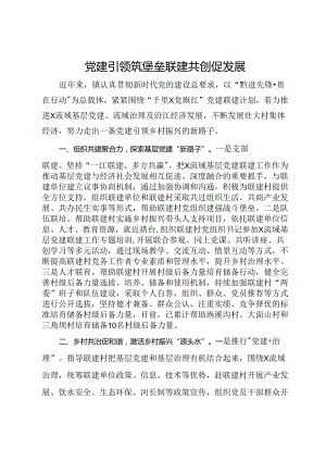 经验做法：党建引领筑堡垒 联建共创促发展.docx