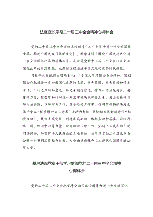法庭庭长学习二十届三中全会精神心得体会（共8篇）.docx
