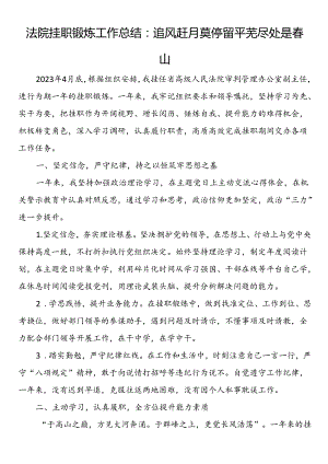 法院挂职锻炼工作总结：追风赶月莫停留平芜尽处是春山.docx