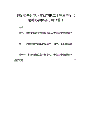 （11篇）县纪委书记学习贯彻党的二十届三中全会精神心得体会（精选）.docx