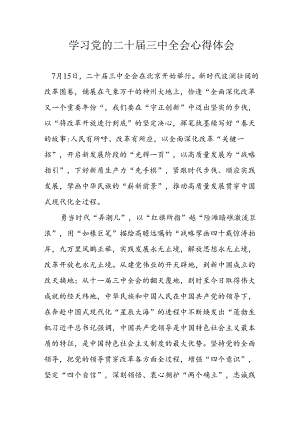 2024年学习学习党的二十届三中全会个人心得感悟 （3份）.docx