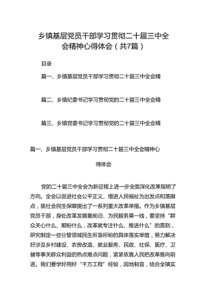 乡镇基层党员干部学习贯彻二十届三中全会精神心得体会7篇（详细版）.docx