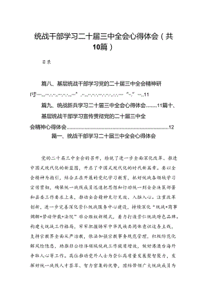 （10篇）统战干部学习二十届三中全会心得体会（精选）.docx