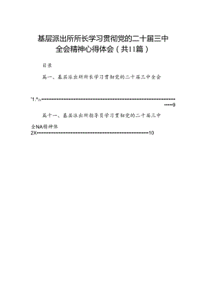 （11篇）基层派出所所长学习贯彻党的二十届三中全会精神心得体会汇编.docx