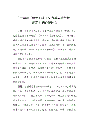 学习整治形式主义为基层减负若干规定心得体会七篇.docx