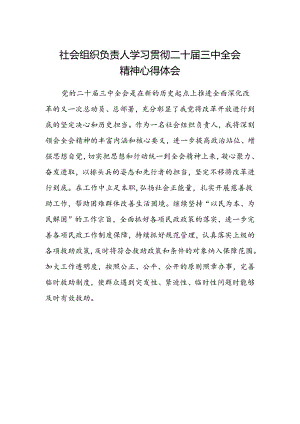 社会组织负责人学习贯彻二十届三中全会精神心得体会.docx