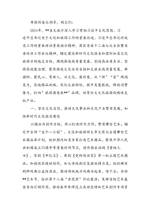 在2024年全省文化旅游发展大会上的汇报发言.docx