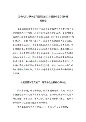 治安大队大队长学习贯彻党的二十届三中全会精神感想体会（共五篇）.docx