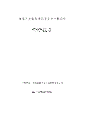 加油站咨询诊断报告要点.docx