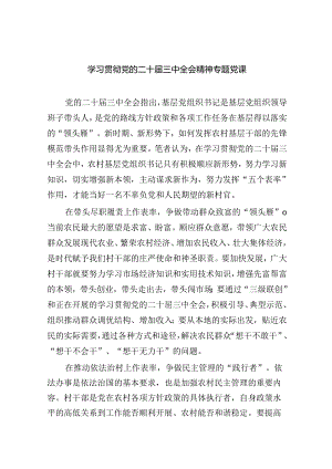 （共6篇）二十届三中全会精神宣讲提纲宣讲党课.docx