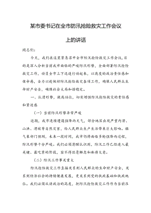 某市委书记在全市防汛抢险救灾工作会议上的讲话.docx